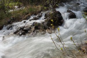 lynx creek superflow